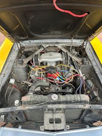 IMG_8873