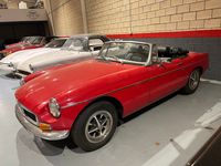 IMG_2495